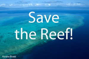Save the Reef