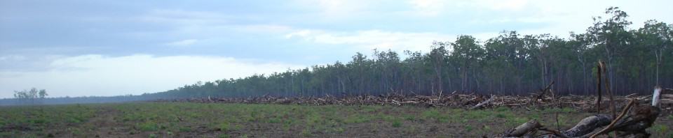 Proposed amendments to the Vegetation Management Act put Queensland biodiversity at risk