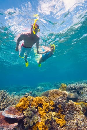 What is the future of the Great Barrier Reef – community survey