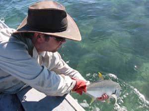 The Cairns Port dredging proposal and fishing