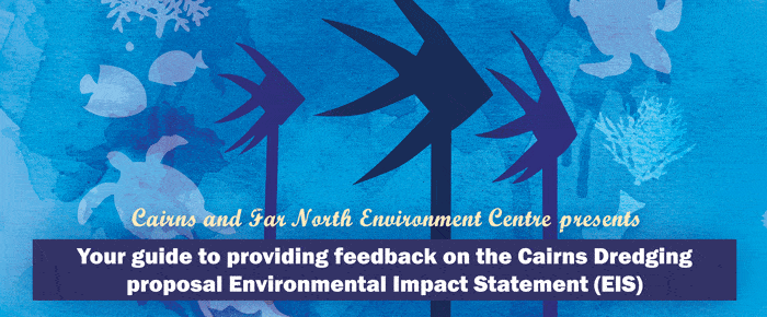 Your guide to providing feedback on the Cairns Dredging EIS