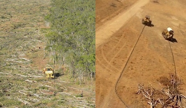 Take action to welcome Government vote regarding land clearing laws