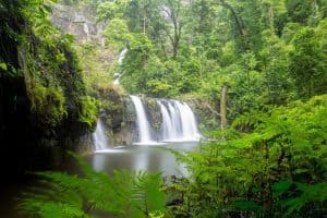 Nandroya Falls - Photo credit: James Berry