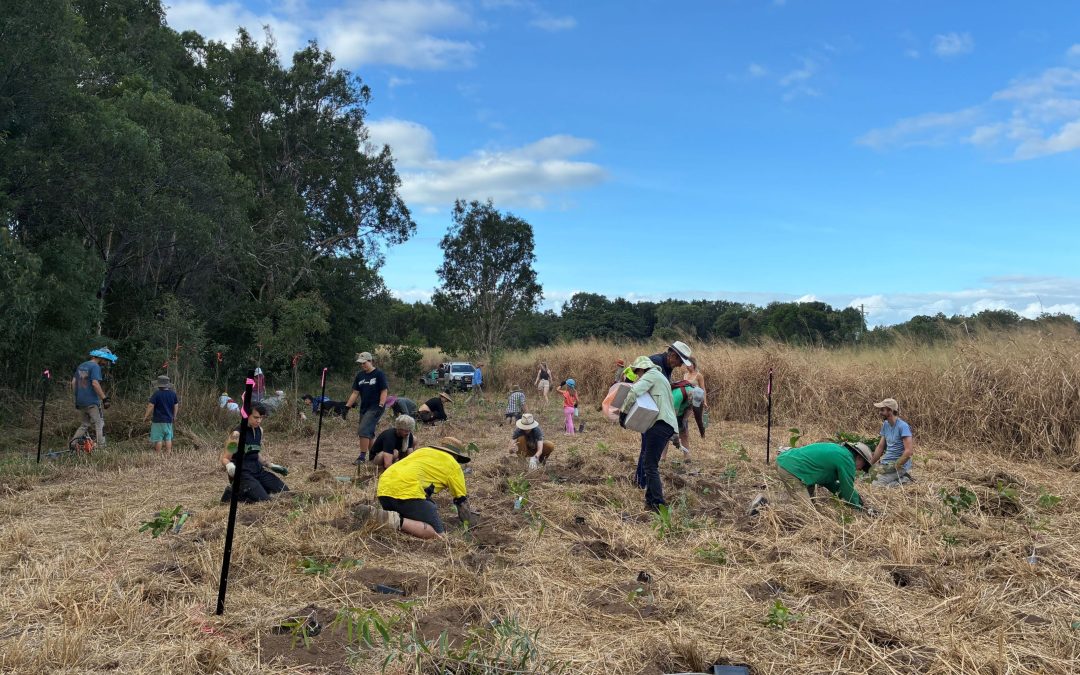 CAFNEC’s MangroveWatch Chapter Local Action Plans Update