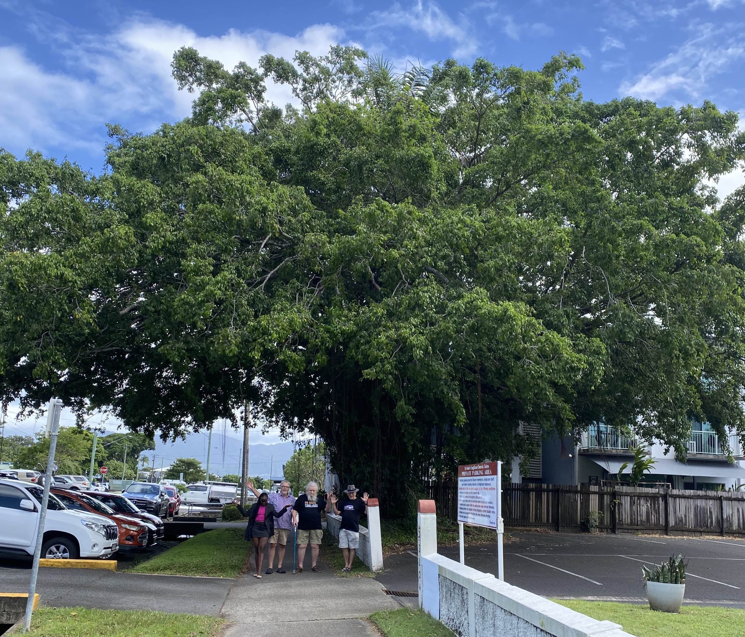 Tree Action Group for article
